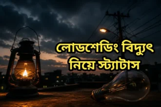 লোডশেডিং বিদ্যুৎ নিয়ে স্ট্যাটাস